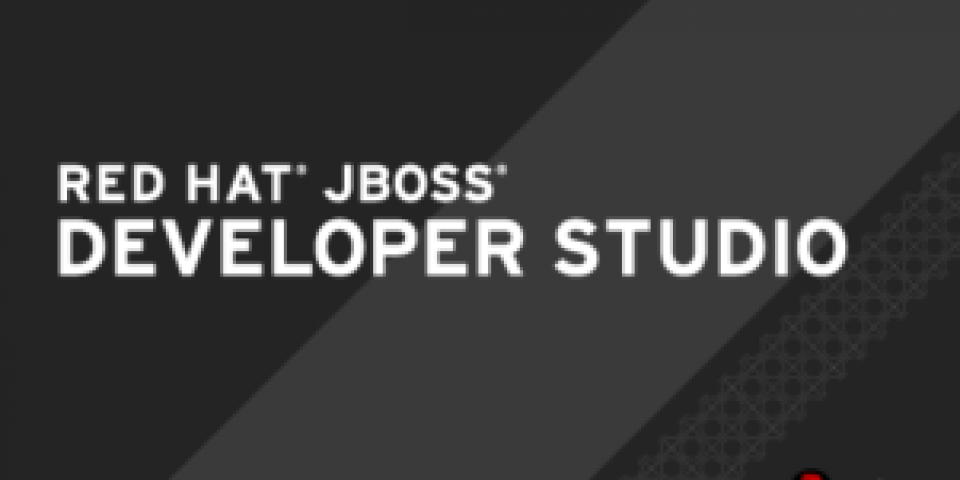 Red Hat JBoss Developer Studio Logo