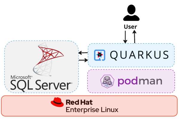 Our operating system hosts SQL Server and a Podman container with a Quarkus application.