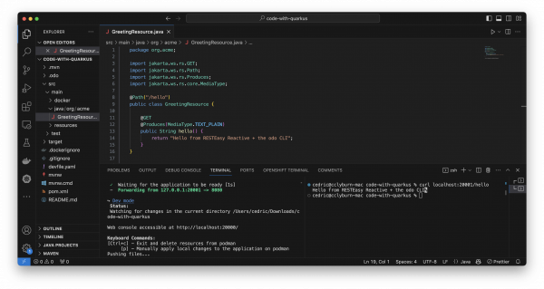 A screenshot of iterating on code with odo.