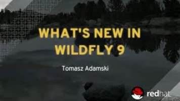 What's New in WildFly 9