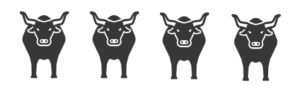 Bulls image