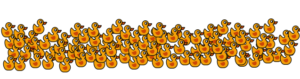 Ducklings image