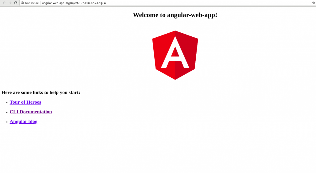 Screenshot of what the web console looks like when you run the Angular app