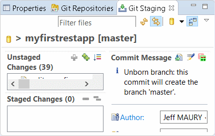 Git Staging view