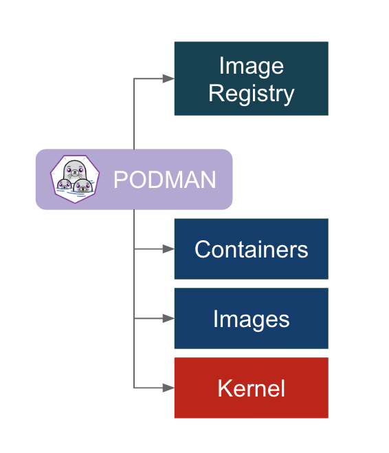 Podman in between the layers Image Registry and Containers/Images/Kernel.
