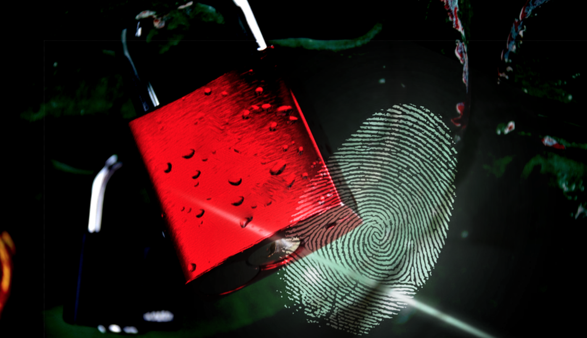 Verifying signatures of Red Hat container images