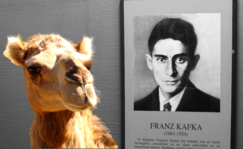 Extending Kafka connectivity with Apache Camel Kafka connectors