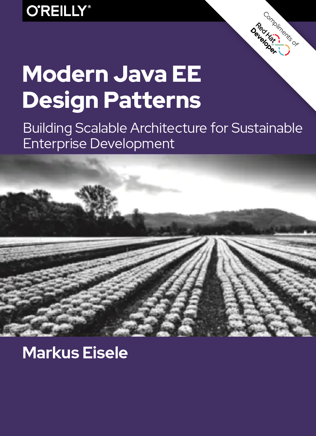 Modern Java EE Design Patterns_Cover image