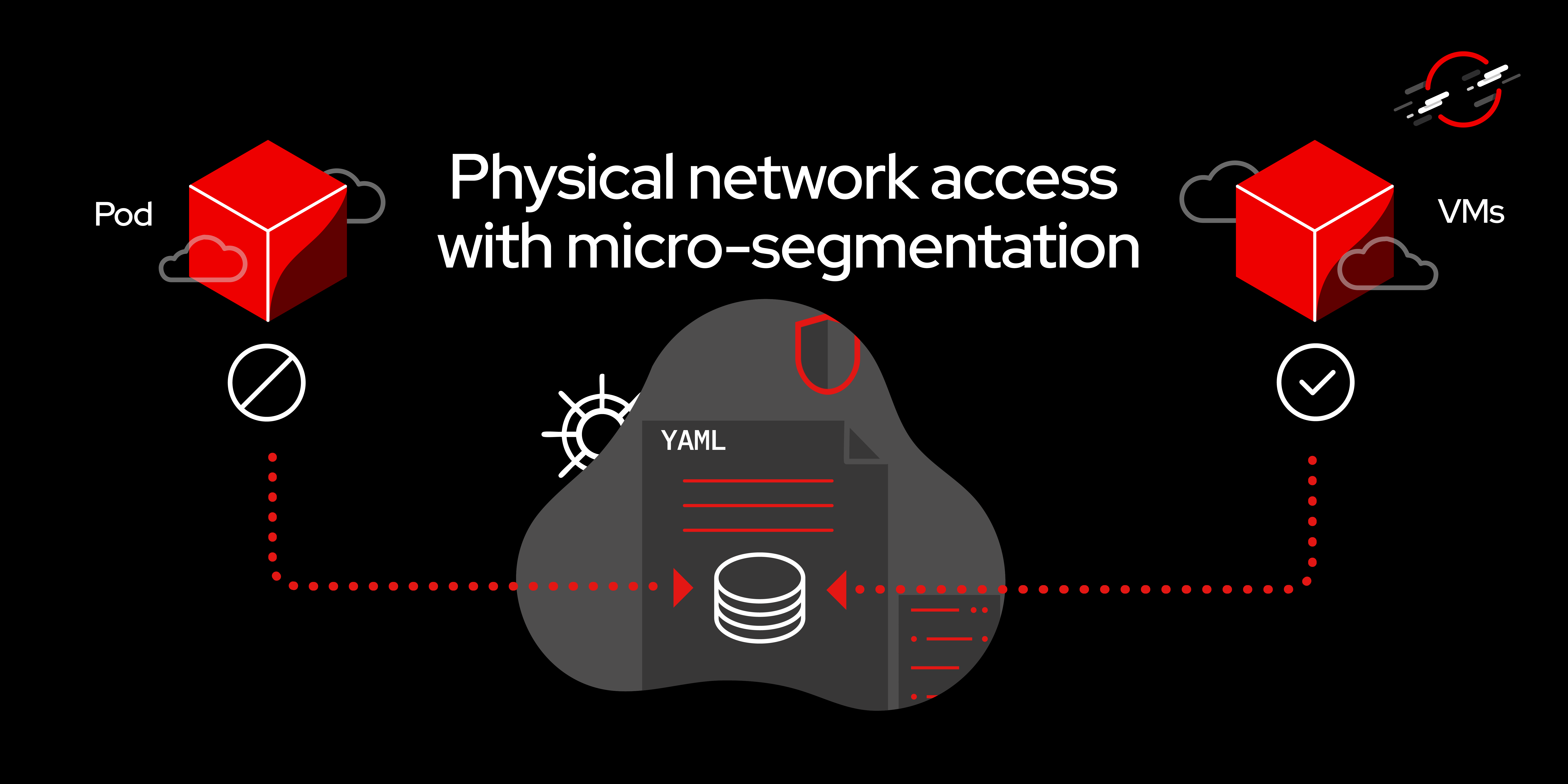 Physical network access with micro-segmentation