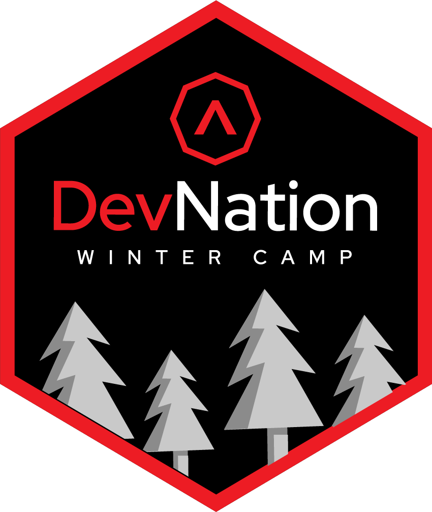 DevNation Winter Camp