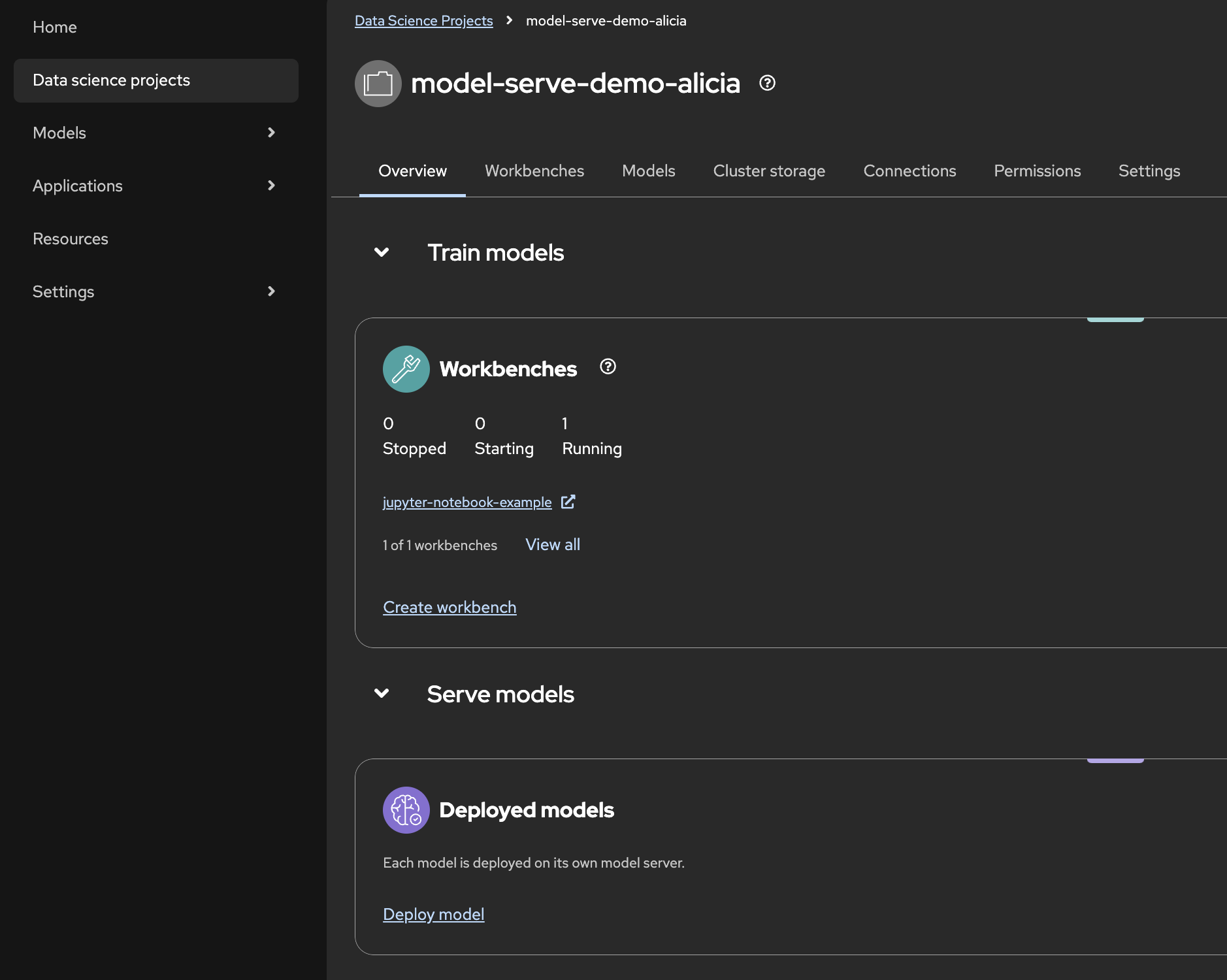Your project overview showing the status of your workbenches and models.