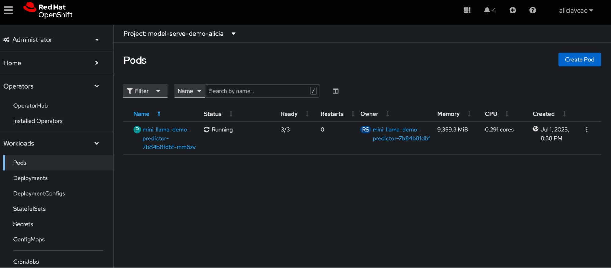 View of all of your pods under your project name in OpenShift.