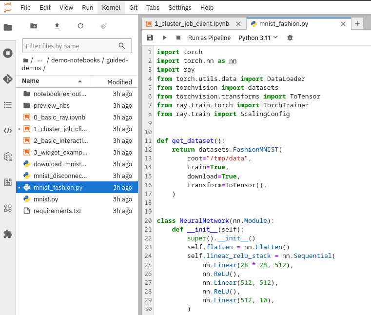 Shows the contents of the example Ray training script