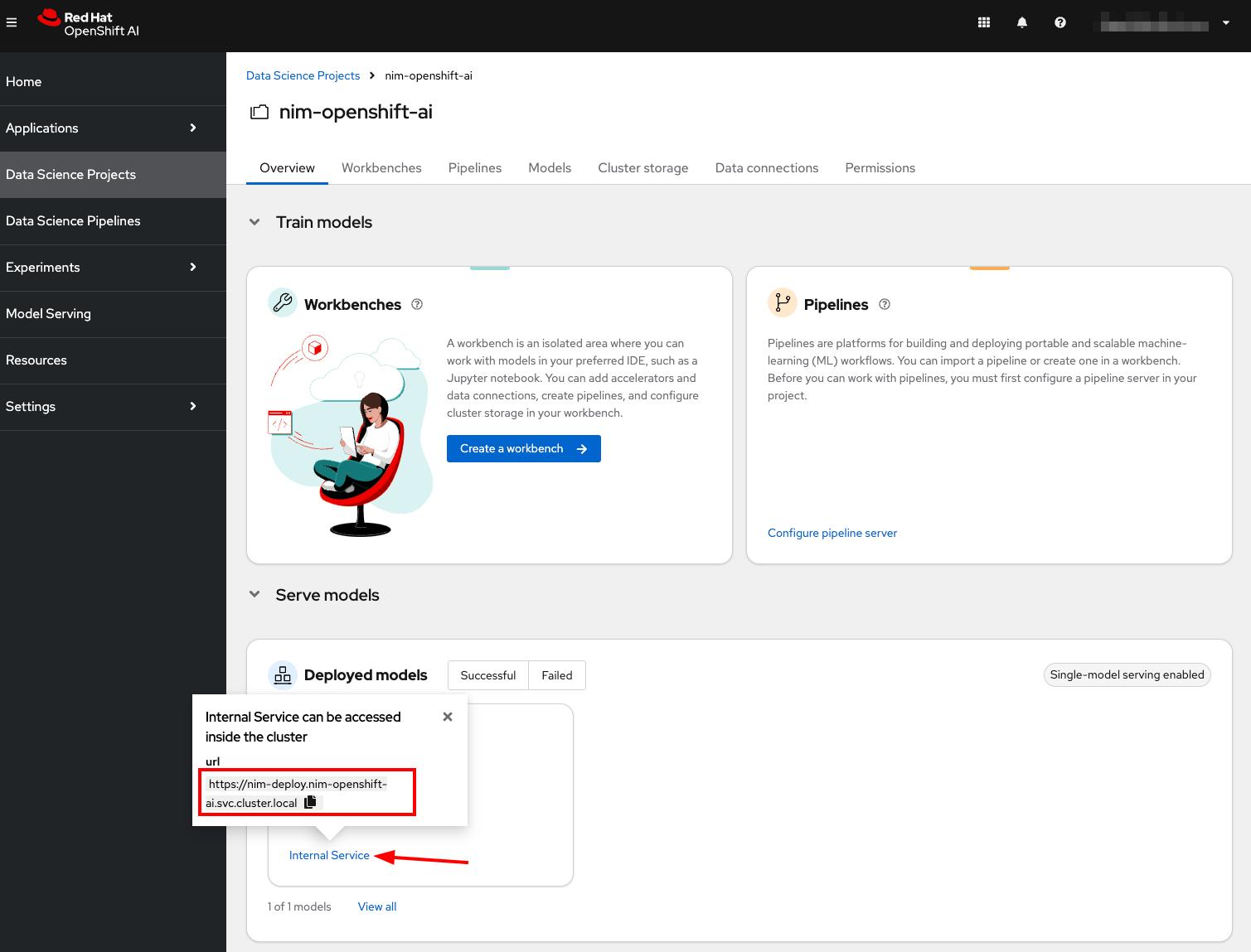 The NIM model internal service link is shown in the lower left corner of the OpenShift AI dashboard.