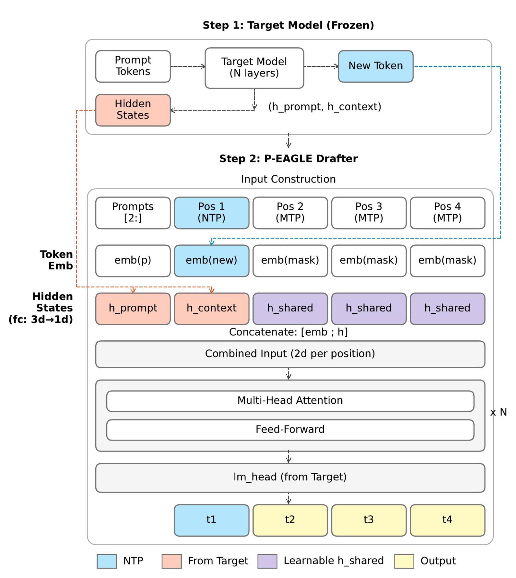 Frozen target model hidden states and token embeddings feed into P-EAGLE drafter layers to predict parallel output tokens t1 through t4.