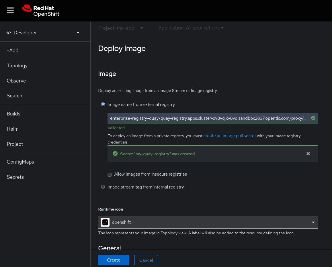 A view of the OpenShift Developer perspective. The Container Images page now shows a green checkmark indicating the image is valid and the validation error message is no longer present.