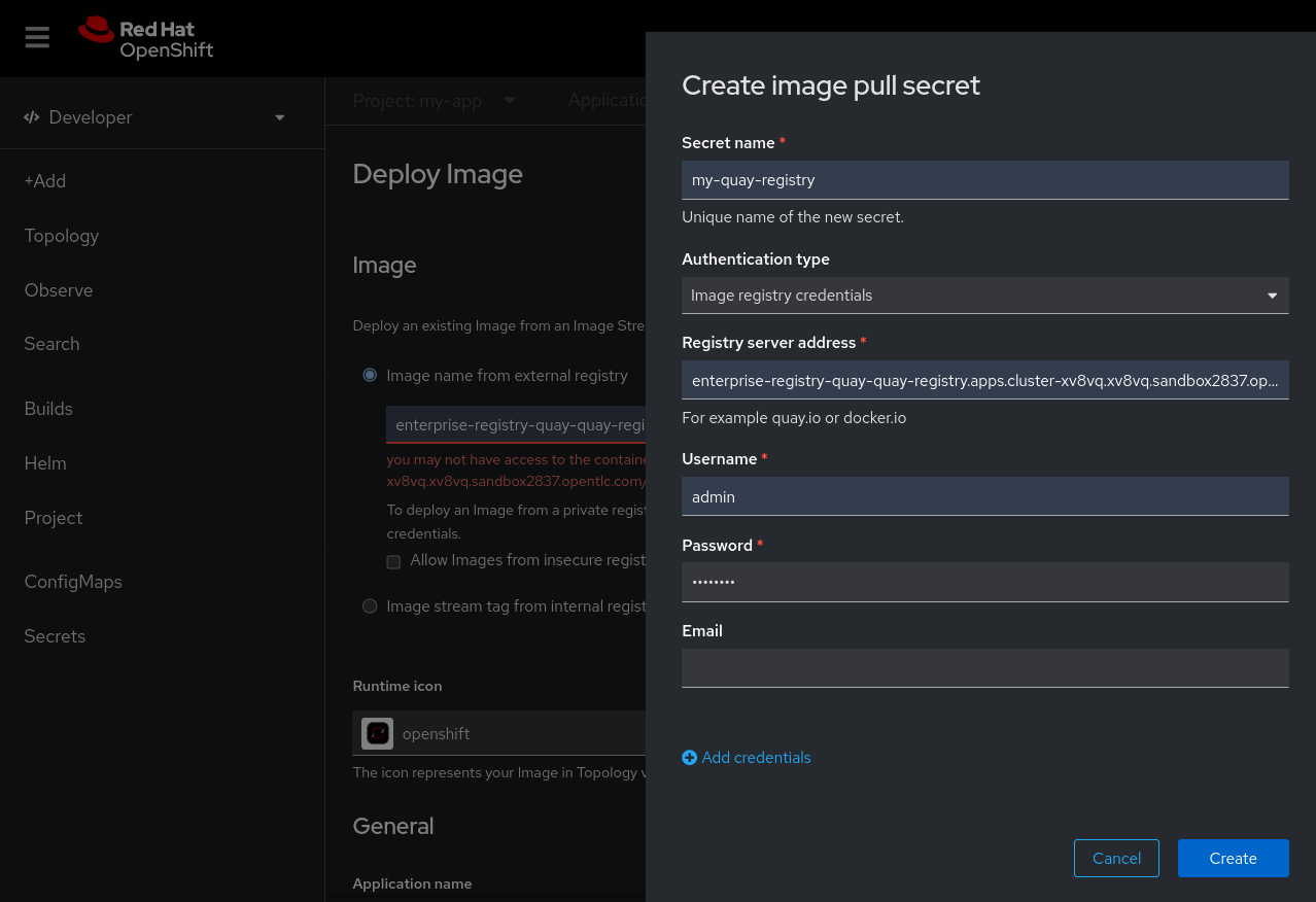 A form in the OpenShift console for creating a new image pull secret. Fields for the secret name, registry server address, username, and password for Red Hat Quay are visible and ready for user input.