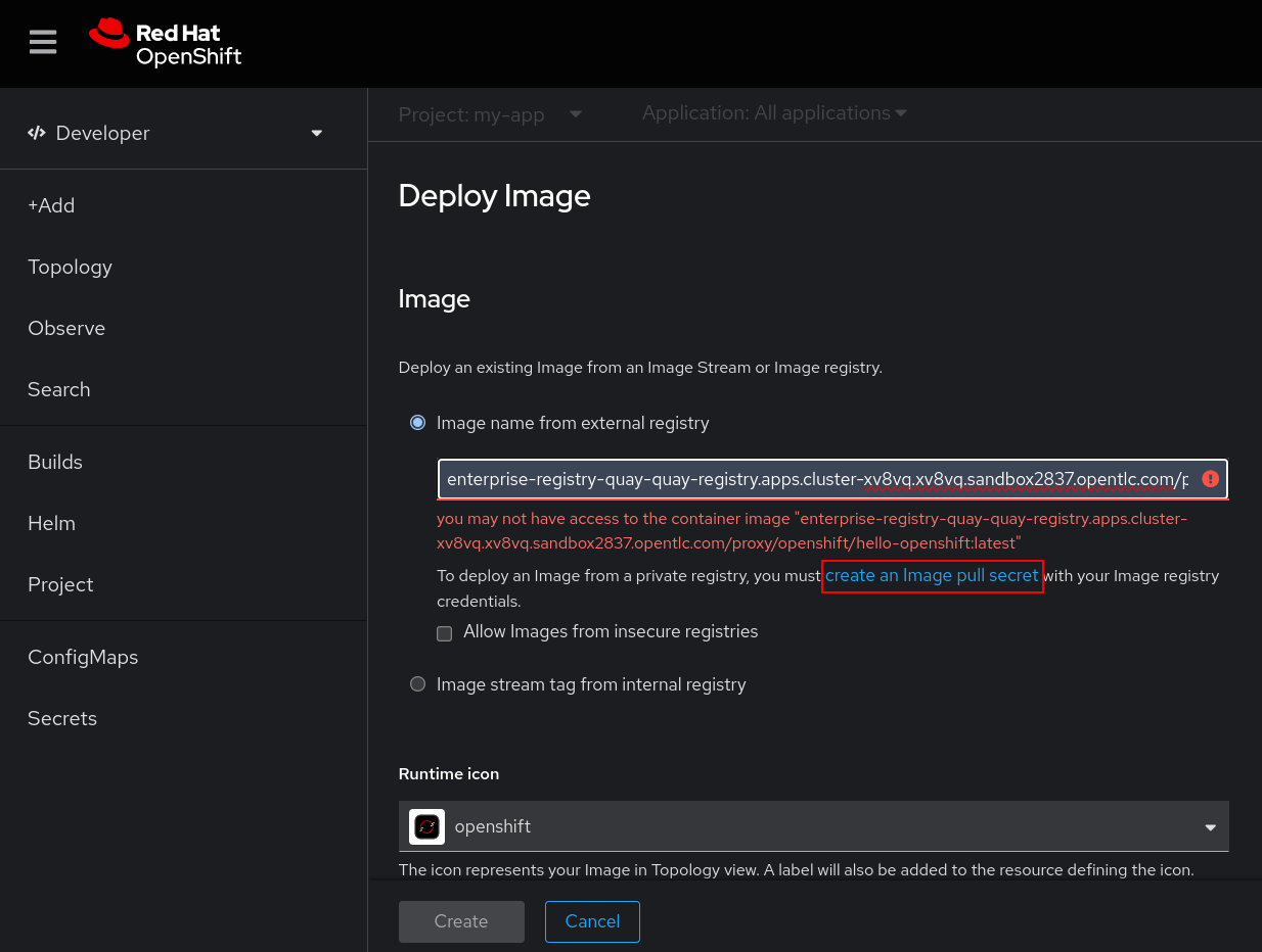 A view of the OpenShift Developer perspective. The Container Images page has a validation message below the text entry field stating that the image pull failed and a create an Image pull secret link is available to create a new secret.