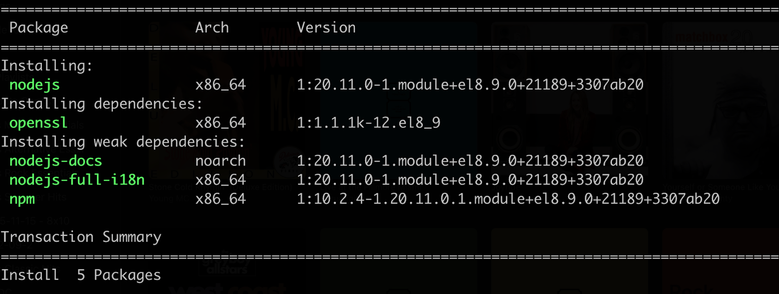 Enable the Node.js module Install