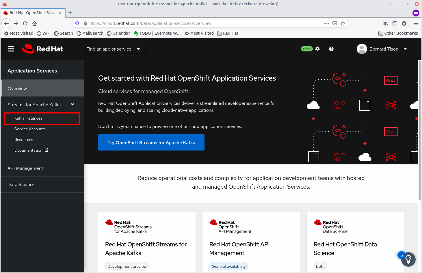 The Application Services landing page on cloud.redhat.com.