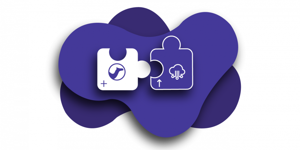 Camel integration feature image