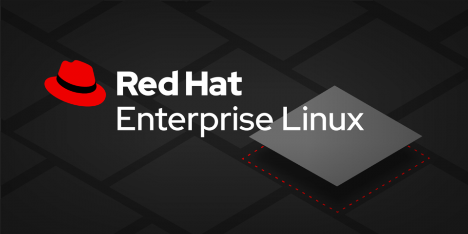 red hat programming