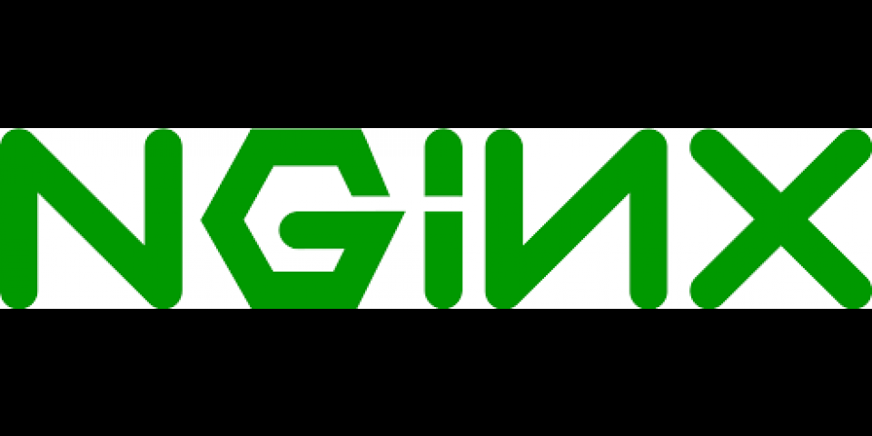 NGINX web server image
