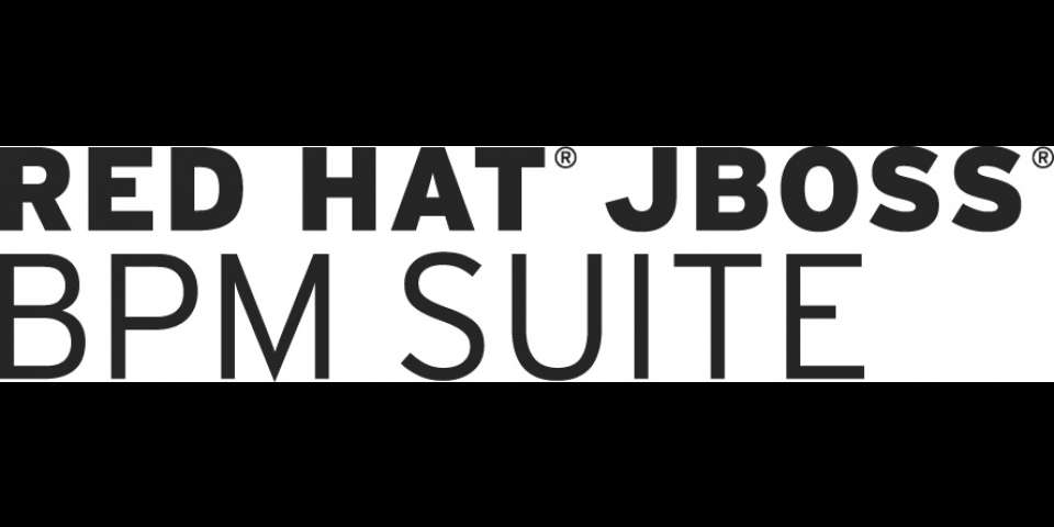 Red Hat JBoss BPM Suite logo