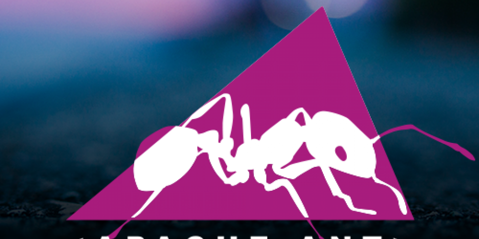 Apache Ant logo