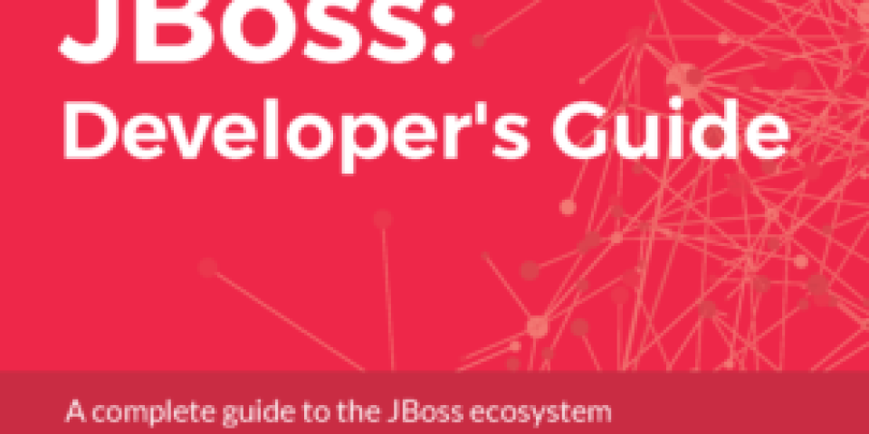 JBoss Developers Guide