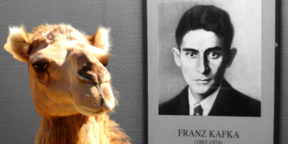 Source: "Getting Kafka ready for the Camel Ride" is a derivative work of "Kafka" by "g p" and "Camel" by "Ziad Fhema," used under CC BY 2.0.