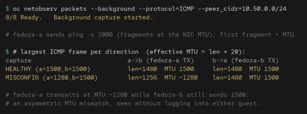 Output from the oc netobserv command