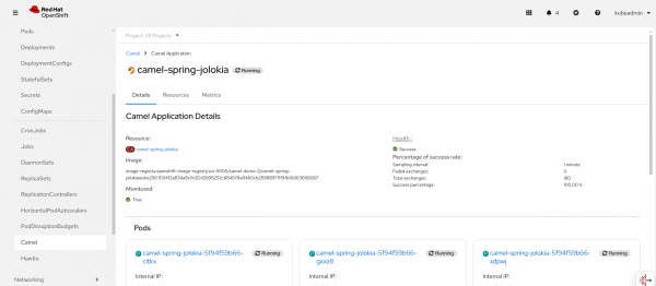 Camel application health