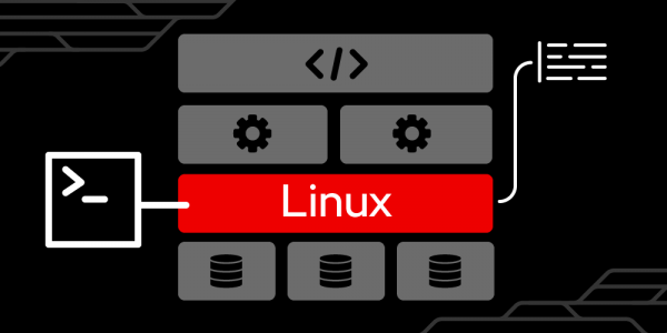 Linux server image