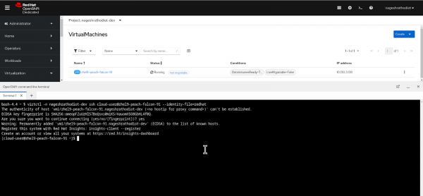 Executing SSH command in OpenShift web terminal.