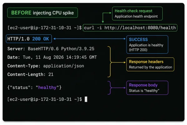 Before injecting a CPU spike, contact with a known endpoint was successful and returned the expected response.