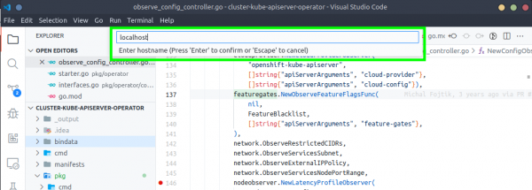 Setting the VS code debug target to remote host.