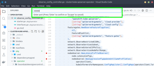 The VS code debug window for setting the remote port.