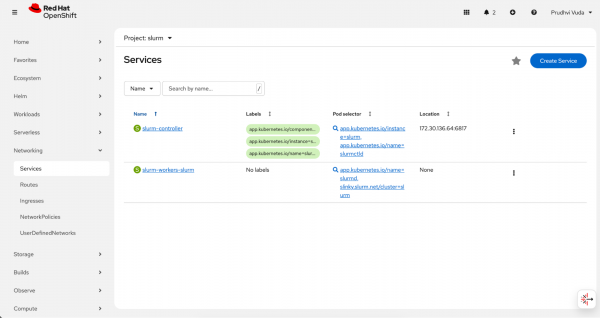 Services page listing slurm-controller service and cluster IP details.