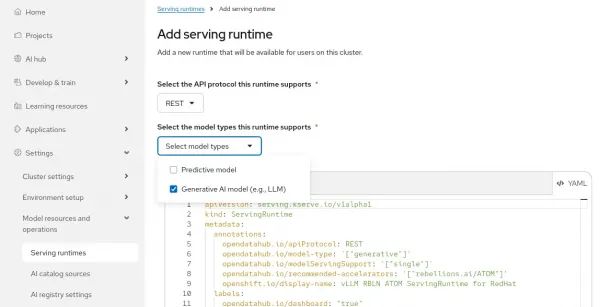 Creating the Serving Runtime.