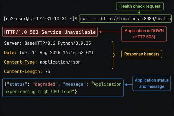 The application enters a degraded state after the CPU fault is injected.