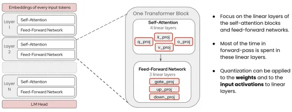 Quantization is applied to the linear layers inside each transformer block, where nearly all of the parameters and compute live.