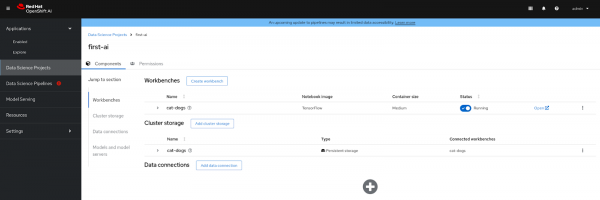 The review page displays both the workbench and cluster storage.