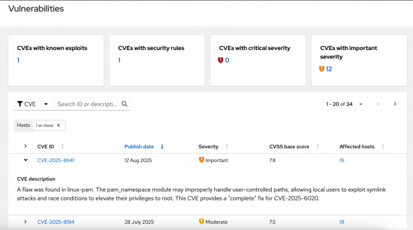 The vulnerabilities page includes a summary of vulnerability information and two CVEs affecting this environment.