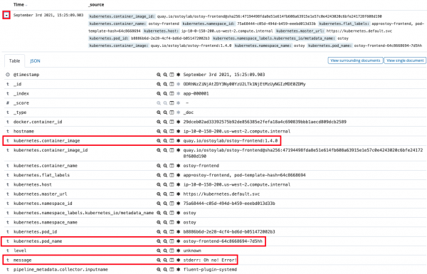 screenshot of Kibana user interface displaying specific log and expanded options