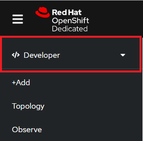 The Developer view in your OpenShift dashboard.