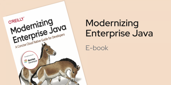 Modernizing Java e-book image