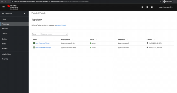 The OpenShift console lets you view and manage cluster resources and available services.