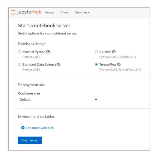 JupyterHub offers several options for creating and running a notebook.