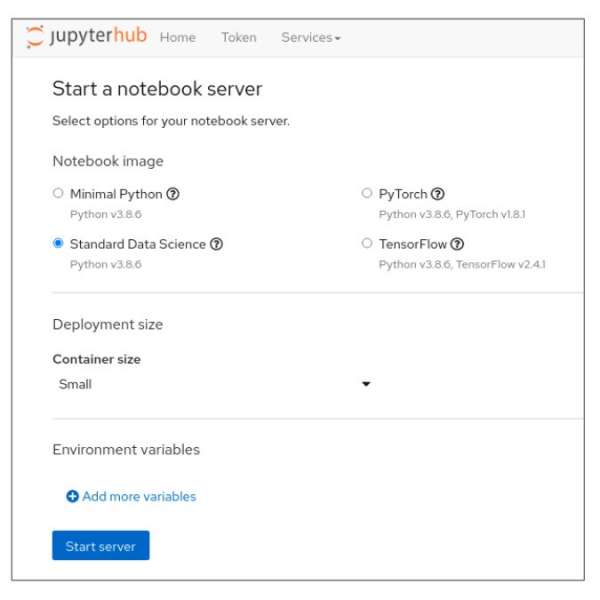 The JupyterHub options for creating and running a notebook.